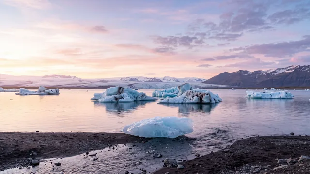 AI-created interpretation of Jökulsárlón in Iceland at sunset, with blue icebergs floating on a calm glacier lagoon and delicate pink light above the distant ice and mountains.