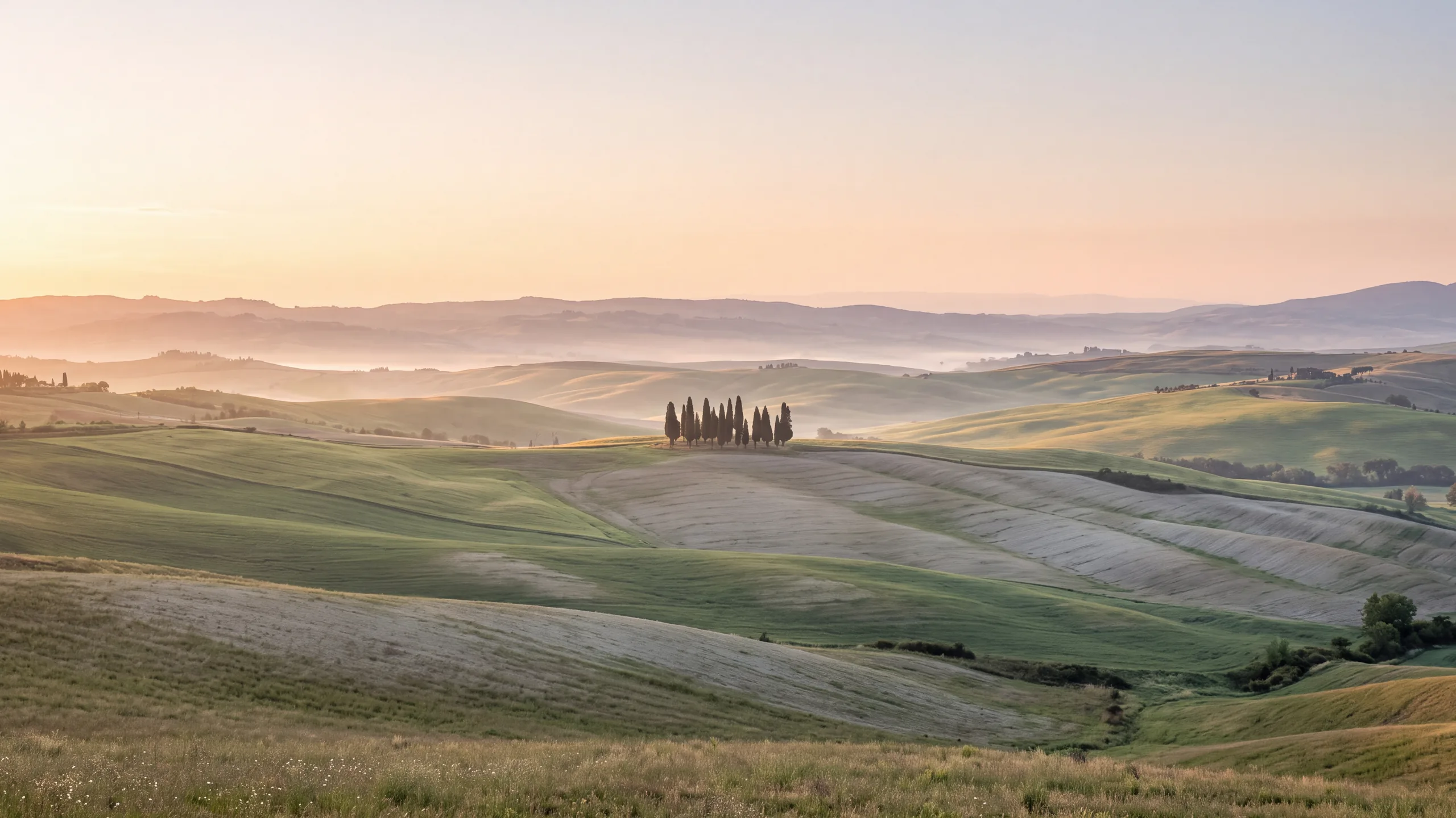 AI-created interpretation of Val d'Orcia in Tuscany at sunrise, with softly rolling fields, a small group of cypress trees and pale mist warmed by golden light.